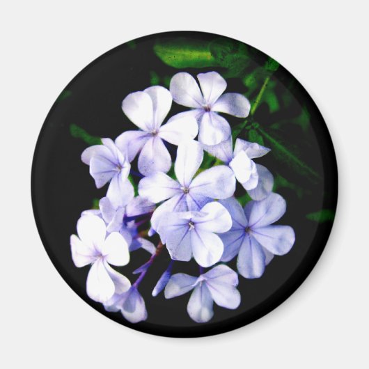 Blauw Magneet (Voorkant)