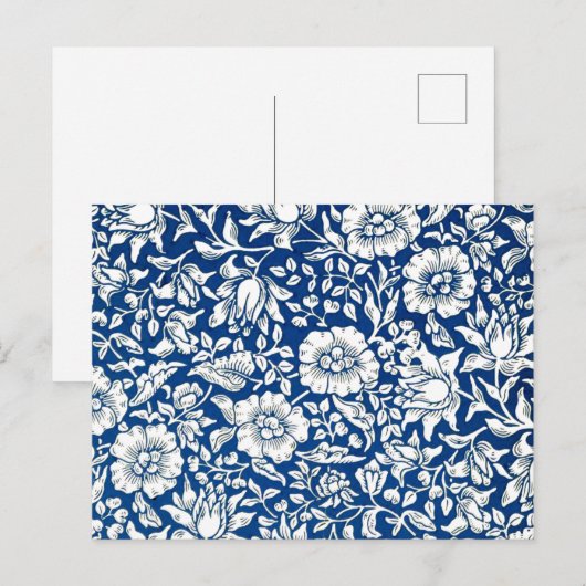 Blauw Mallow,  patroon, Briefkaart (Voorkant / Achterkant)