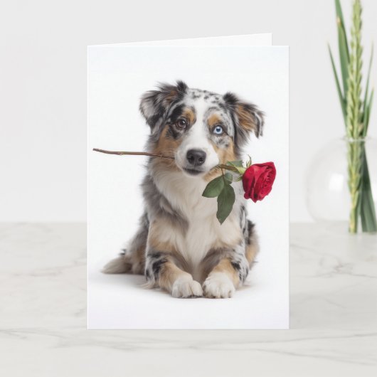 Blauw Merle Aussie Valentine – Toegewijde Liefde Kaart (Voorkant)