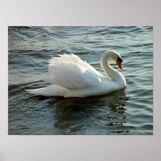 Blauw met Poster of afdrukken (Voorkant)