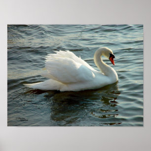 Blauw met zwoerd Poster of afdrukken