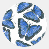 Blauw morfovlinderpatroonontwerp ronde sticker (Voorkant)