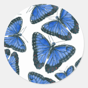 Blauw morfovlinderpatroonontwerp ronde sticker