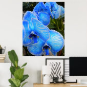 Blauw Mystique Orchids Poster (Thuiskantoor)