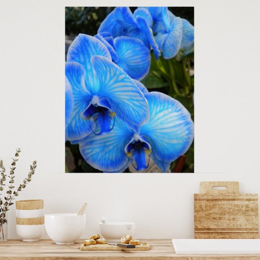 Blauw Mystique Orchids Poster (Keuken)