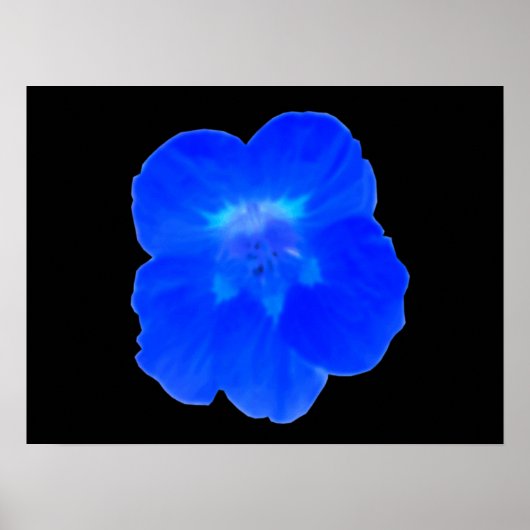 Blauw Nasturtium afdrukken Poster (Voorkant)