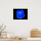Blauw Nasturtium afdrukken Poster (Keuken)