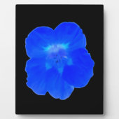 Blauw Nasturtium Plaque Fotoplaat (Voorkant)