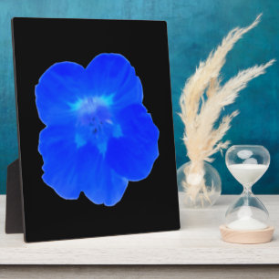 Blauw Nasturtium Plaque Fotoplaat
