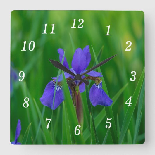 Blauw Nederlands onder bladeren wandklok (Voorkant)