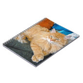 blauw notitieboek (Linkerzijde)
