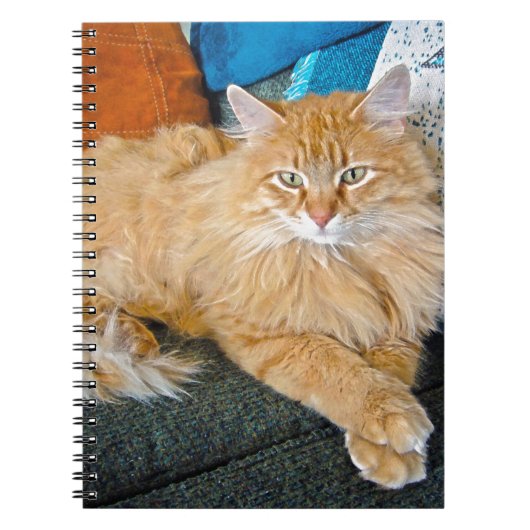 blauw notitieboek (Voorkant)