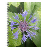 Blauw Notitieboek van Cornflower (Voorkant)