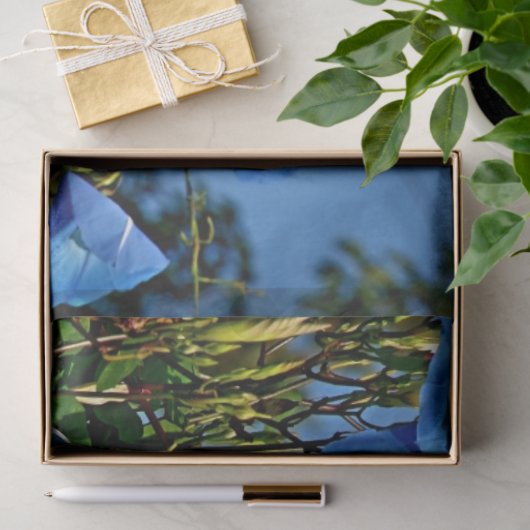 Blauw-ochtendgloriegepersonaliseerd weefselpapier tissuepapier (Geschenk)