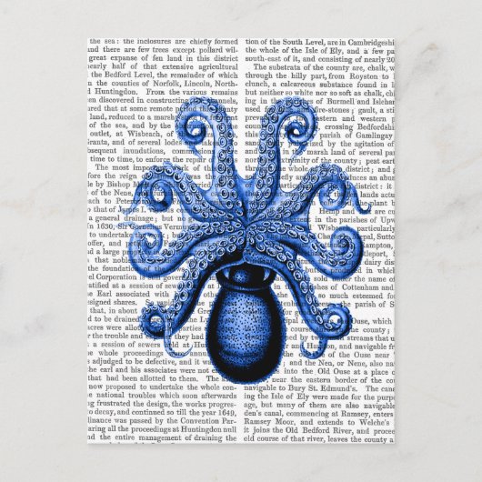  blauw octopus 1 onderzijde briefkaart (Voorkant)