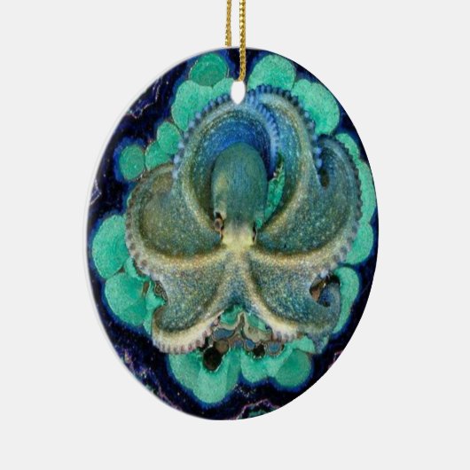 Blauw Octopus Ornament (Rechts)