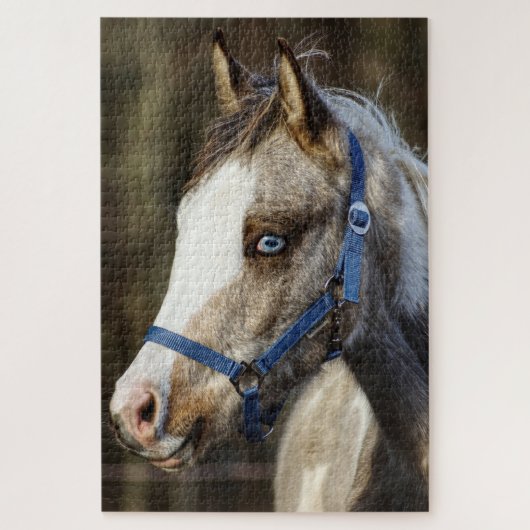 Blauw-ogig veulen legpuzzel (Verticaal)