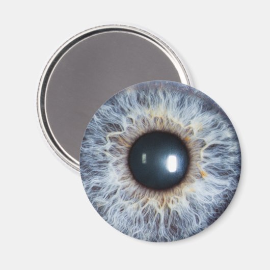 blauw oog magneet (Voorkant / Achterkant)
