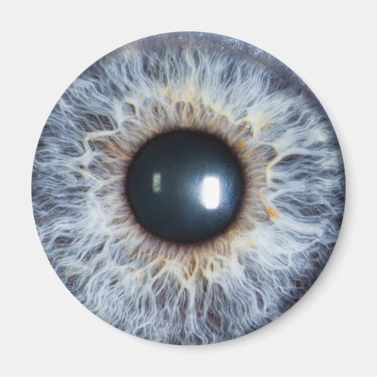 blauw oog magneet (Voorkant)