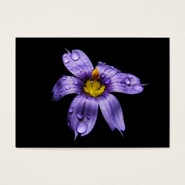 Blauw Ooggras ~ ATC Visitekaartje (Voorkant)