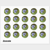 Blauw Ooggras Wildbloem Bloemen Ronde Stickers (Vel)