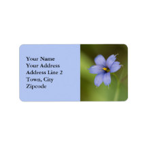 Blauw Ooggras Wildflower Bloemen Labels
