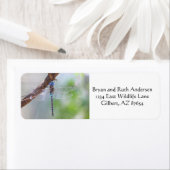 Blauw - Oogige Darner Dragonfly Etiket (Insitu)
