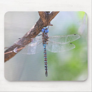 Blauw - Oogige Darner Dragonfly Muismat