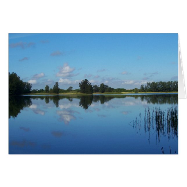 Blauw op blauw (Voorkant Horizontaal)