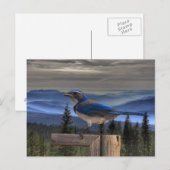 BLAUW OP BLAUW BRIEFKAART (Voorkant / Achterkant)