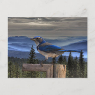 BLAUW OP BLAUW BRIEFKAART