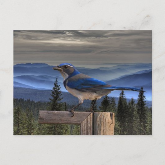 BLAUW OP BLAUW BRIEFKAART (Voorkant)