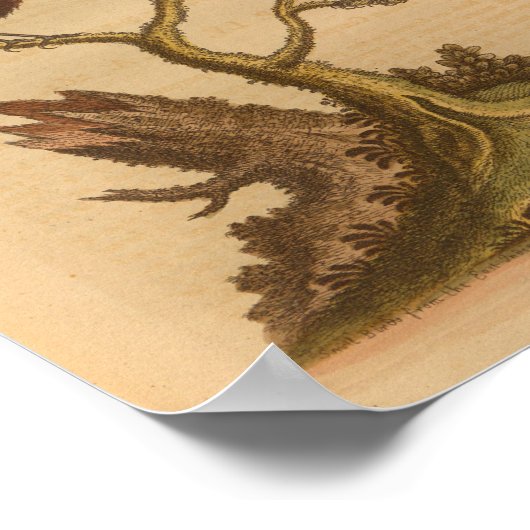  blauw Oranje afdrukken Poster (Hoek)