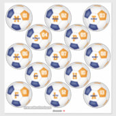 blauw oranje voetbalteam kleuren 13 spelers sticker (Vel)