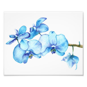 Blauw orchidee botanische afdrukken foto afdruk