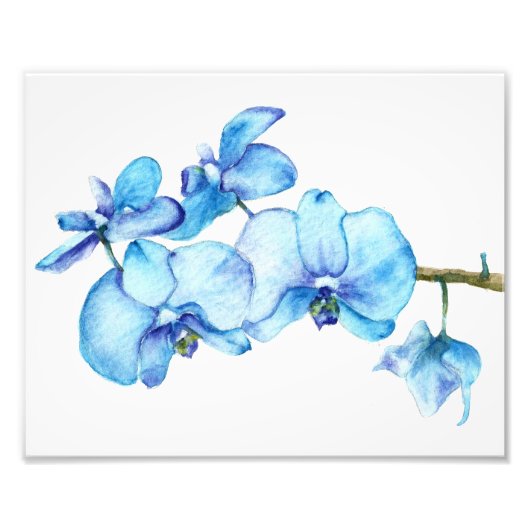 Blauw orchidee botanische afdrukken foto afdruk (Voorkant)