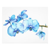 Blauw orchidee botanische afdrukken foto afdruk (Voorkant)