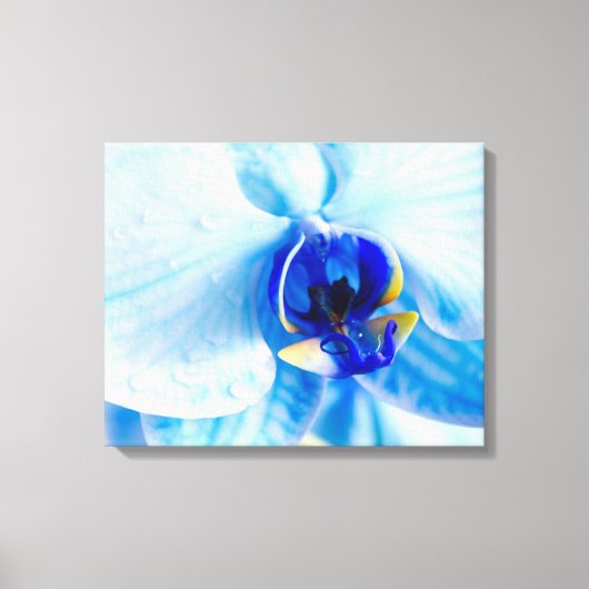 Blauw Orchidee Canvas Print (Voorkant)