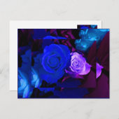 Blauw Paars Roos Briefkaart (Voorkant / Achterkant)