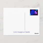 Blauw Paars Roos Briefkaart (Achterkant)