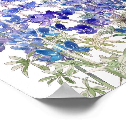 blauw paarse lupbloemen, horizontaal poster (Hoek)