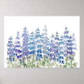 blauw paarse lupbloemen, horizontaal poster (Voorkant)