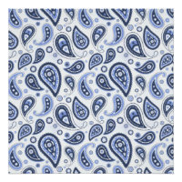 Blauw paisley patroon