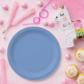 Blauw  papieren bordje (Feest)