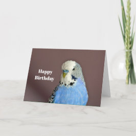  blauw paraket Foto Birthday Card Kaart