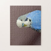  Blauw Paraket Foto Jigzaag Puzzle Legpuzzel (Verticaal)