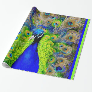 Blauw Peacock Feathers-ontwerp Cadeaupapier