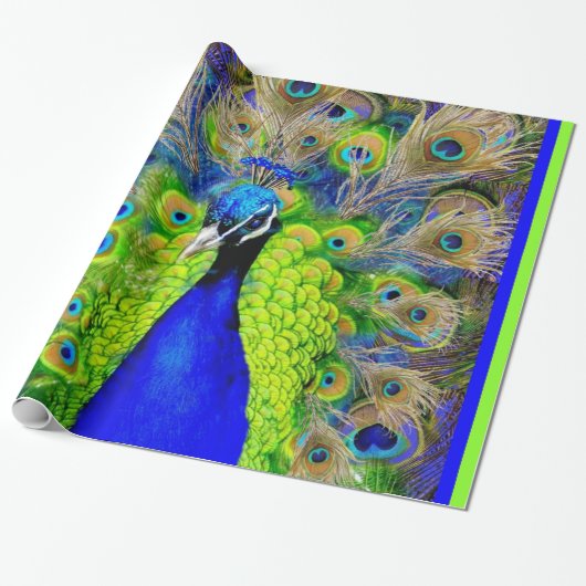 Blauw Peacock Feathers-ontwerp Cadeaupapier (Uitgerold)