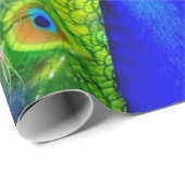 Blauw Peacock Feathers-ontwerp Cadeaupapier (Rol Hoek)