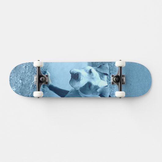Blauw pit bull skateboard (Horizontaal)